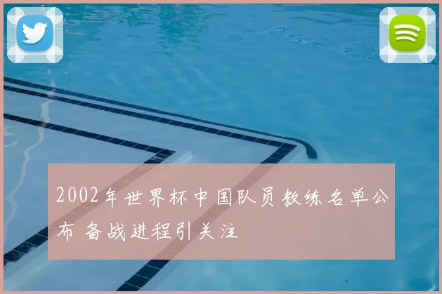 2002年世界杯中国队员教练名单公布 备战进程引关注