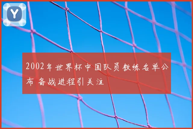 2002年世界杯中国队员教练名单公布 备战进程引关注