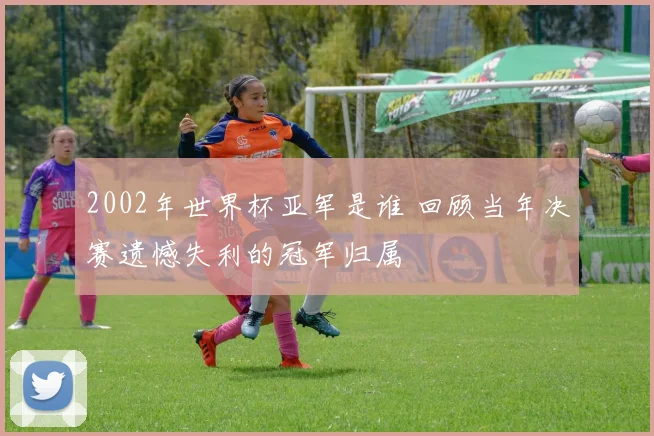 2002年世界杯亚军是谁 回顾当年决赛遗憾失利的冠军归属
