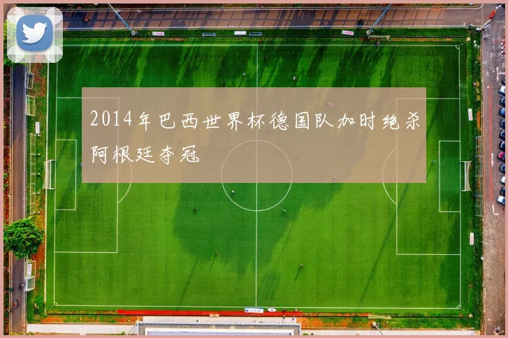 2014年巴西世界杯德国队加时绝杀阿根廷夺冠